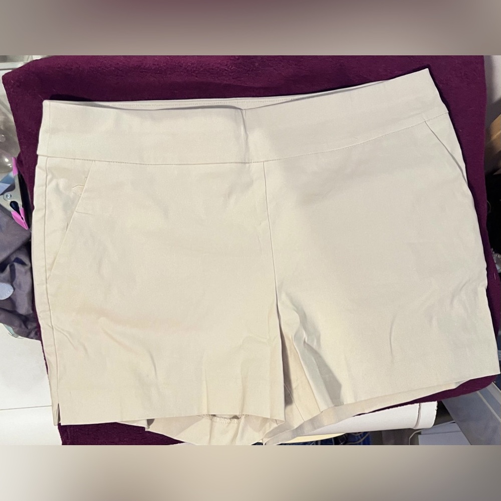 New York & Company Shorts